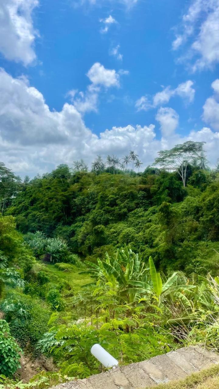 Solana Wellness Retreat Hotel Ubud  Bagian luar foto